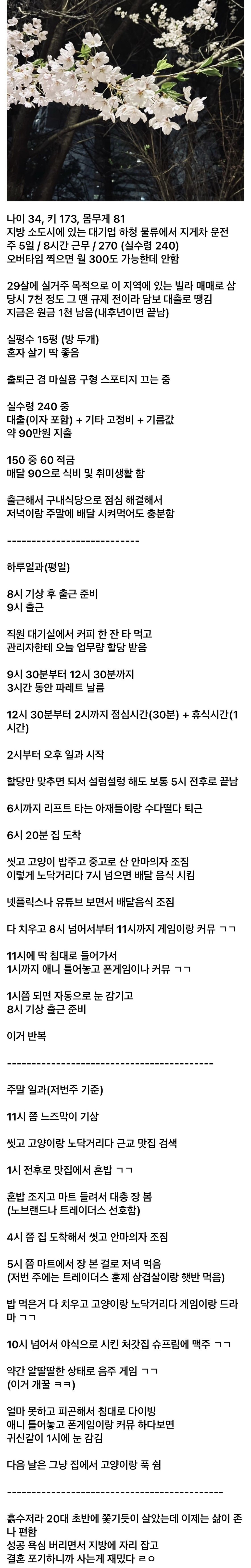 결혼을-포기했다는-30대-디시인의-삶-0-이미지