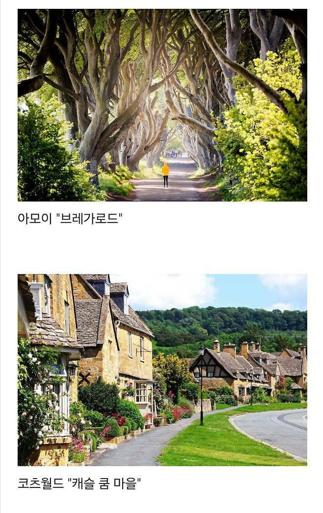 세계에서-제일-예쁜-길이라고-함-10-이미지