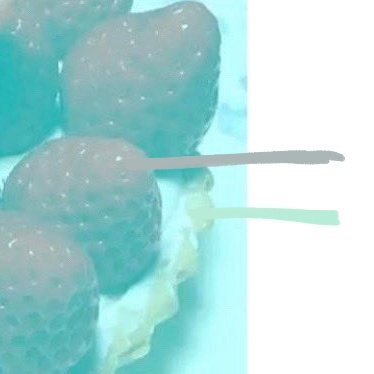 이-이미지에는-빨간색이-없습니다-2-이미지