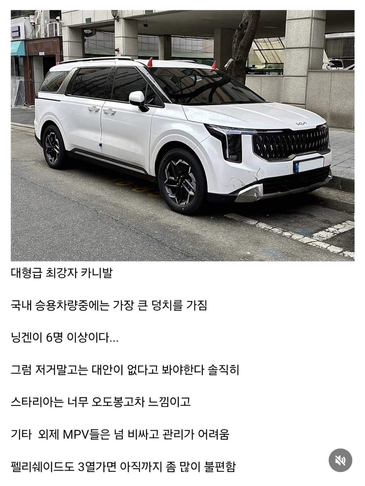 2025년-현재-자동차-체급별-최강자-6-이미지