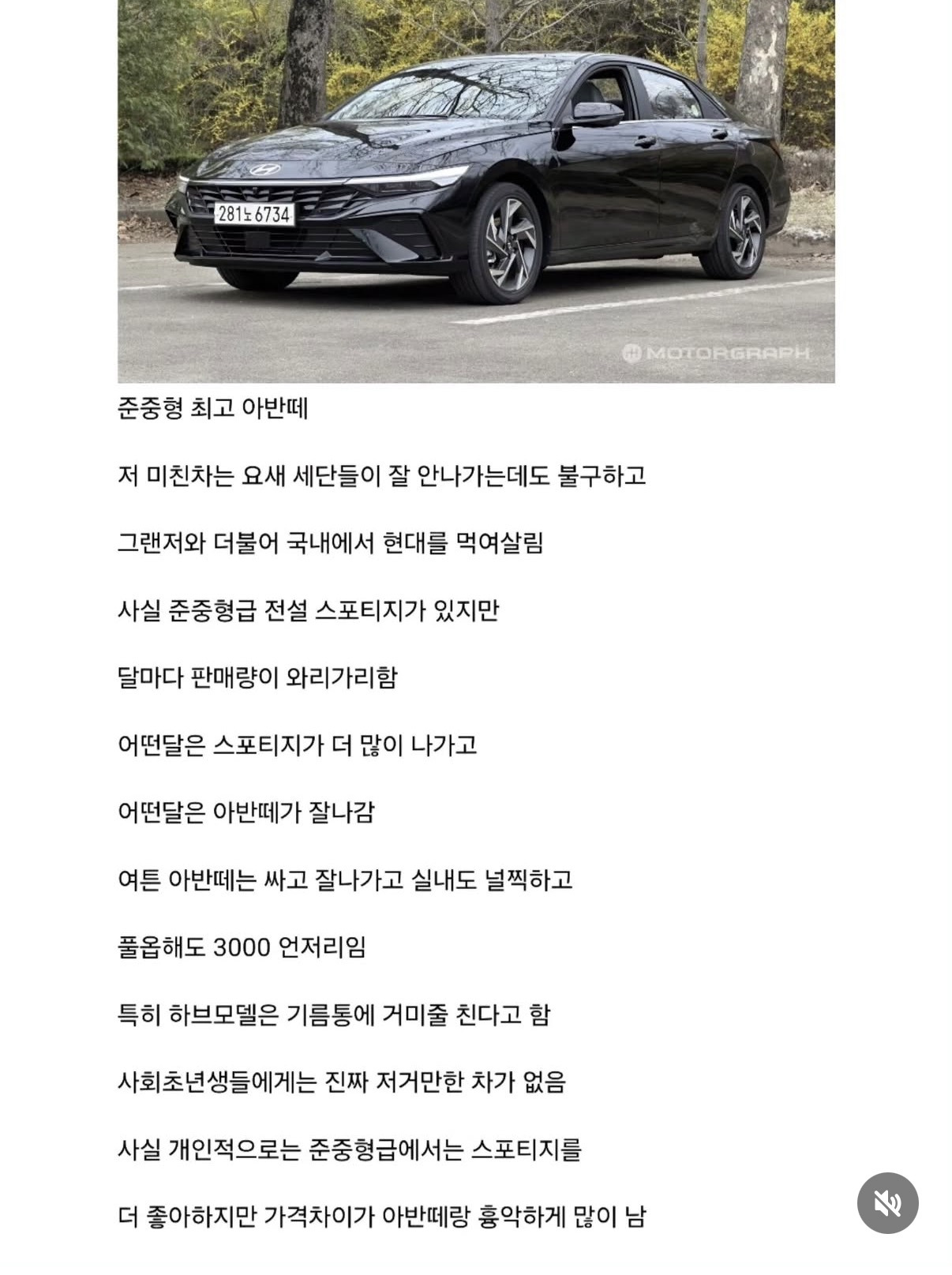 2025년-현재-자동차-체급별-최강자-3-이미지