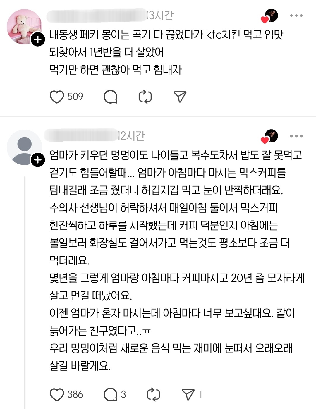 어제-처음으로-강아지에게-햄버거를-사줬다-3-이미지