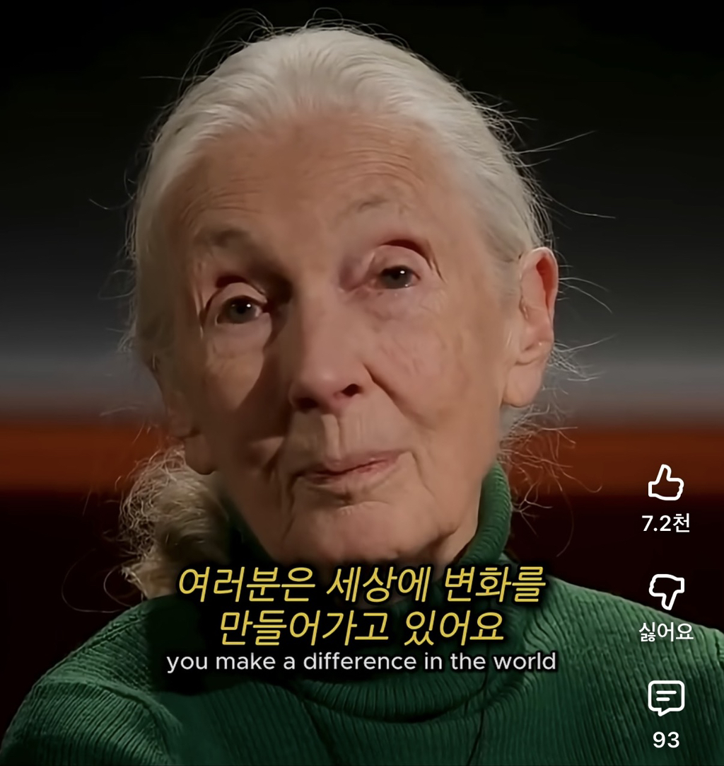 당신의-삶은-여전히-소중하다-15-이미지