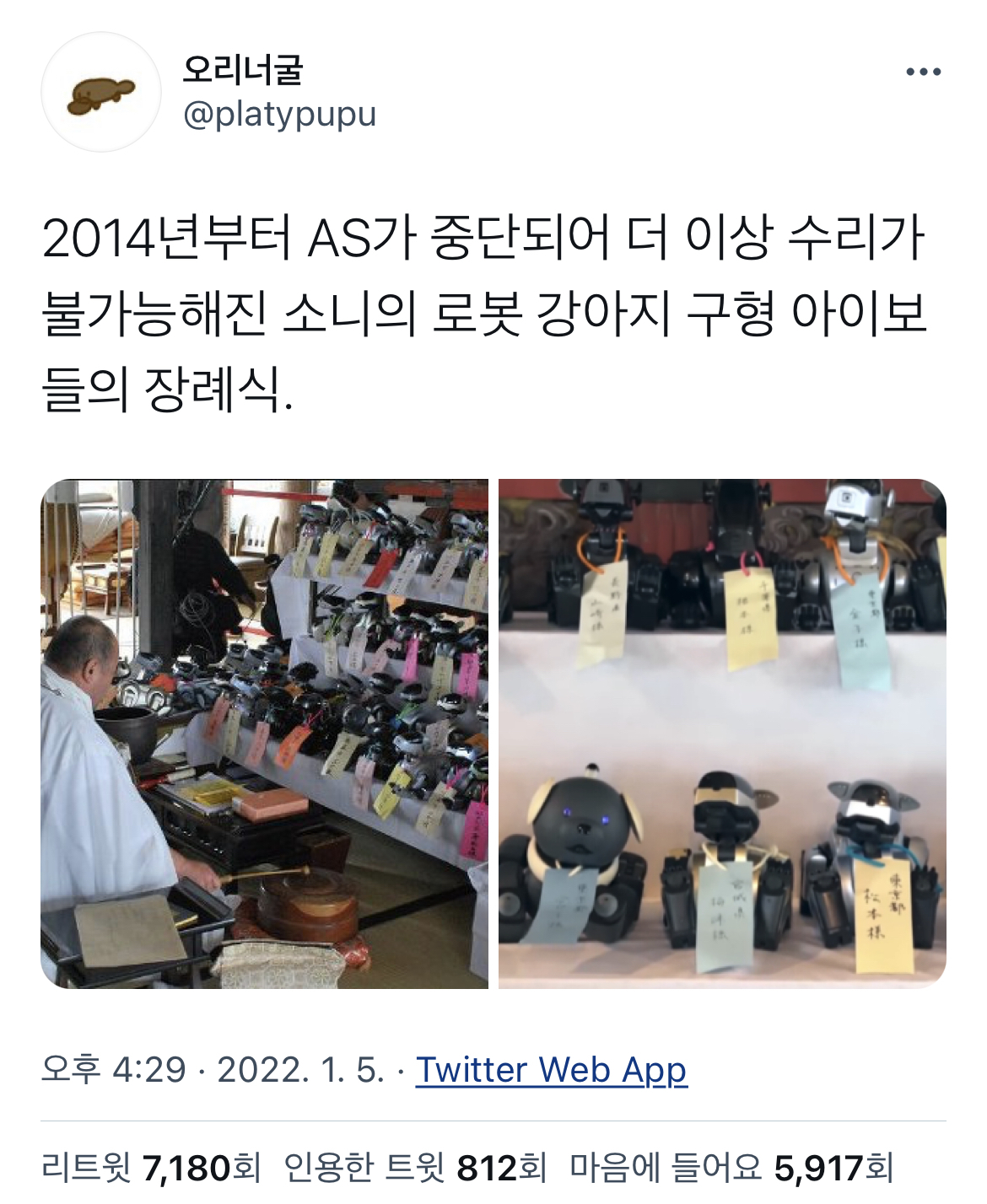 로봇을-사랑할-수-있을까-?-강아지로봇-장례식을-본-트위터리안들의-짧은-상념-0-이미지