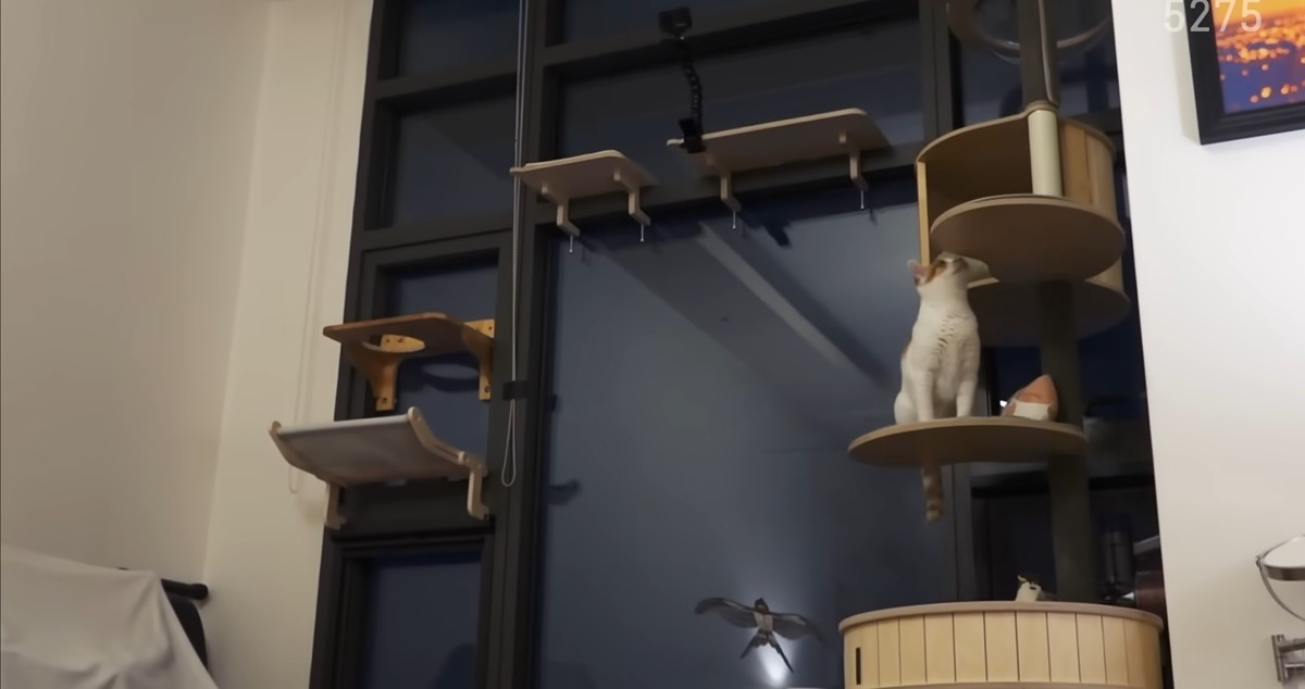 냥집사로서-복층-원룸-살면-따라해보고싶은-꽁꽁얼어붙은한강냥이네-집-0-이미지