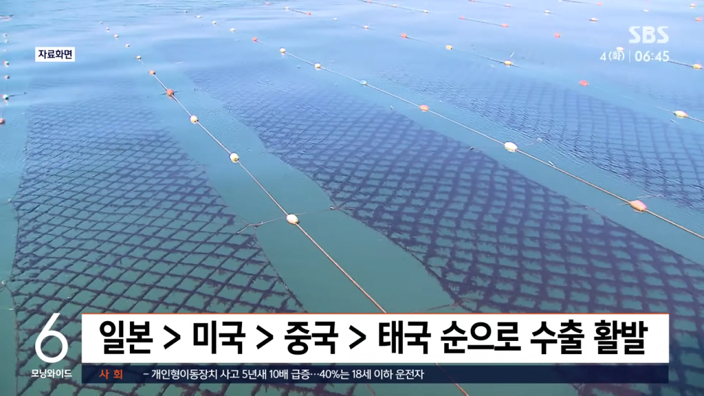 [더쿠]-한국-김-수출-근황.jpg-2-이미지