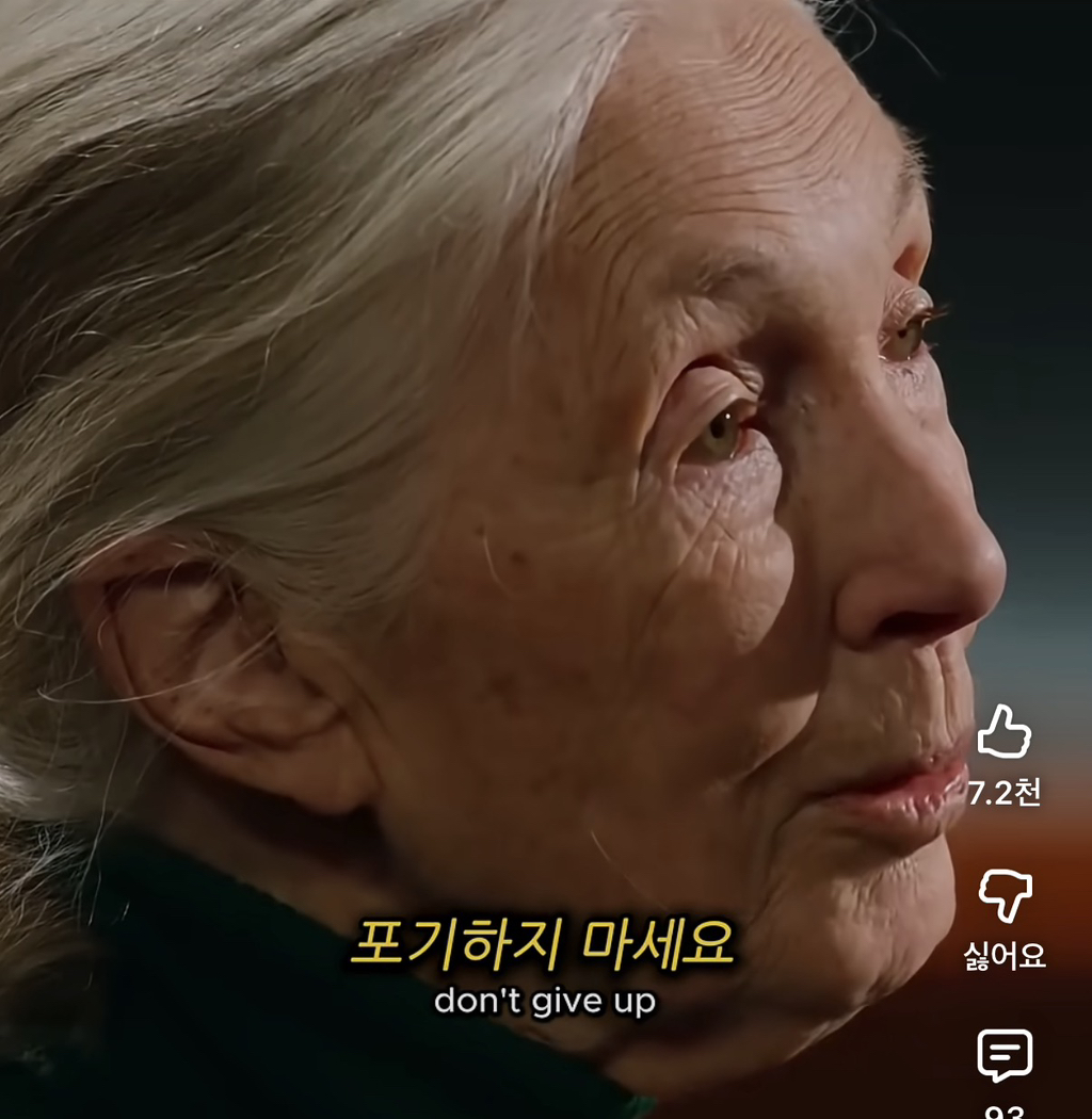 당신의-삶은-여전히-소중하다-18-이미지