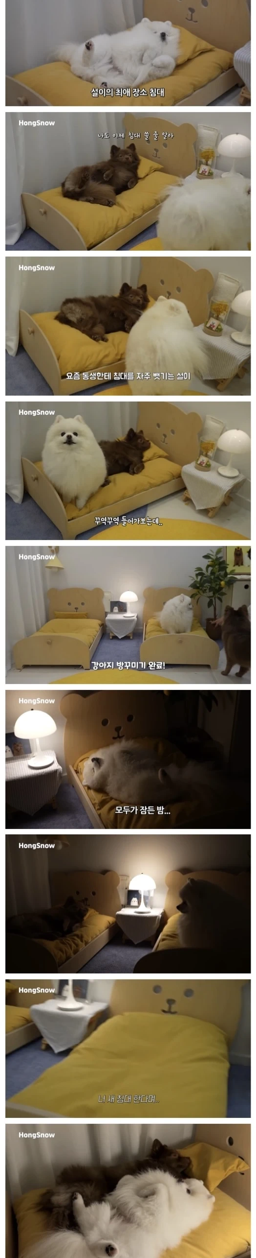 싸우지-말라고-침대-하나-더-놔줬는데-1-이미지