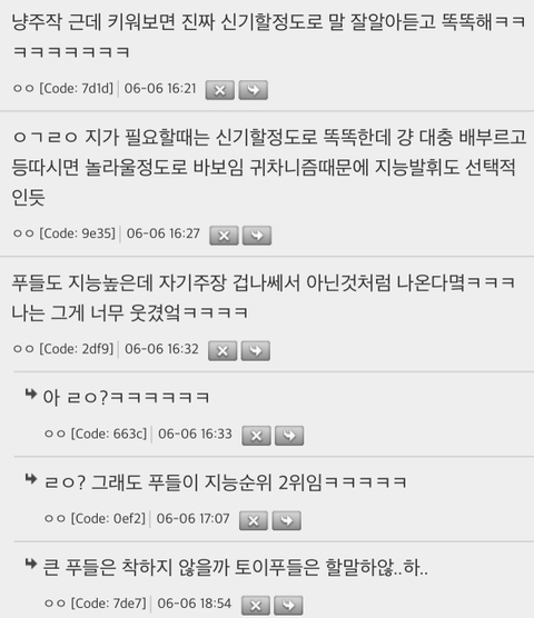 고양이-지능이-2~3세-아이랑-비슷하다는것도-편견이라더라-1-이미지