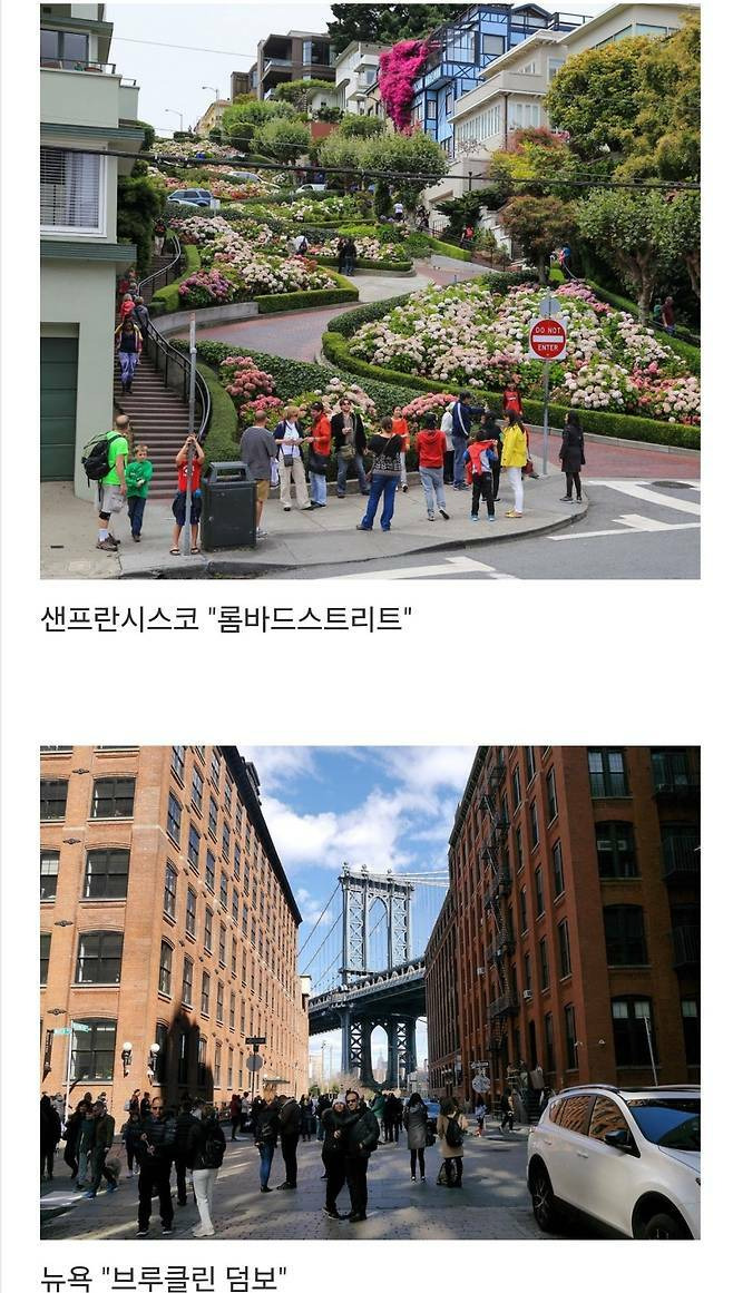 세계에서-제일-예쁜-길이라고-함-18-이미지