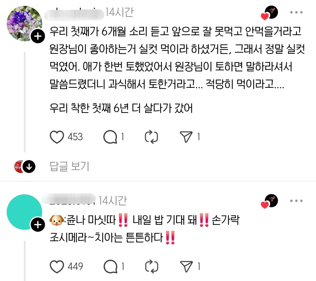 어제-처음으로-강아지에게-햄버거를-사줬다-2-이미지
