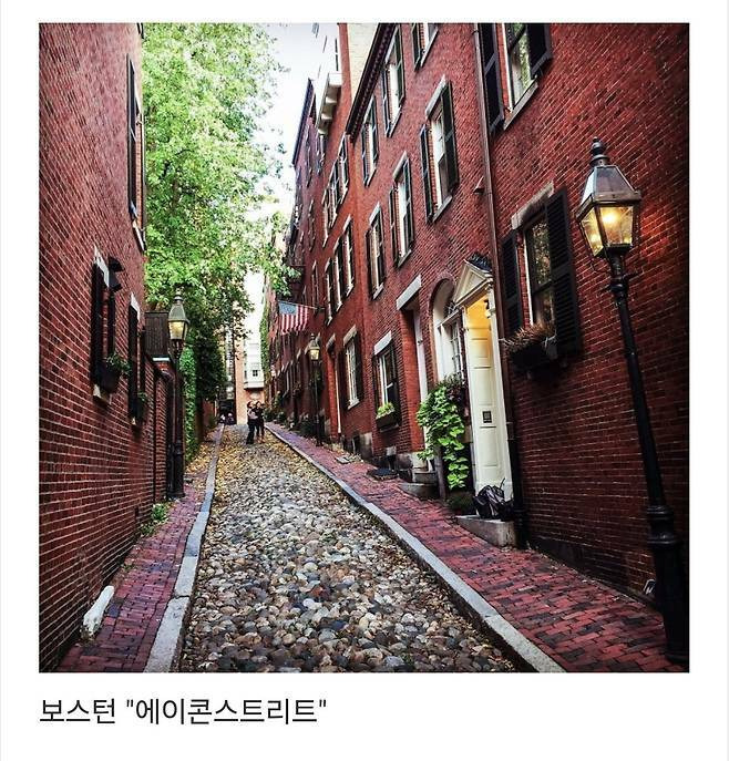 세계에서-제일-예쁜-길이라고-함-13-이미지