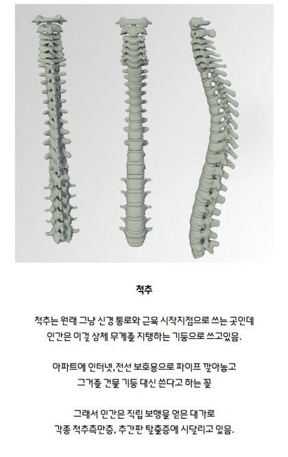 인간이-잘못된-용도로-쓰고-있는것-1-이미지