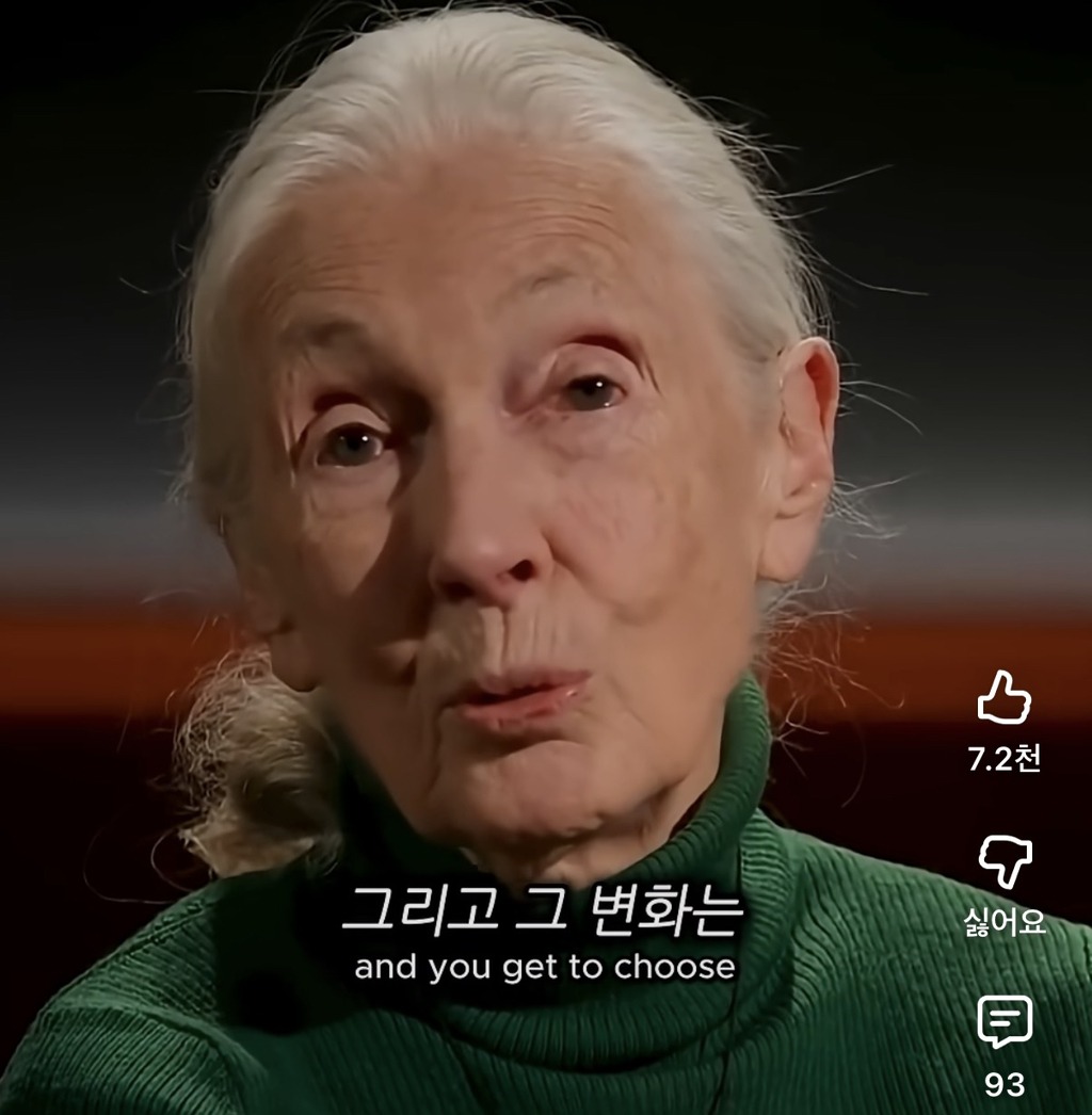 당신의-삶은-여전히-소중하다-16-이미지