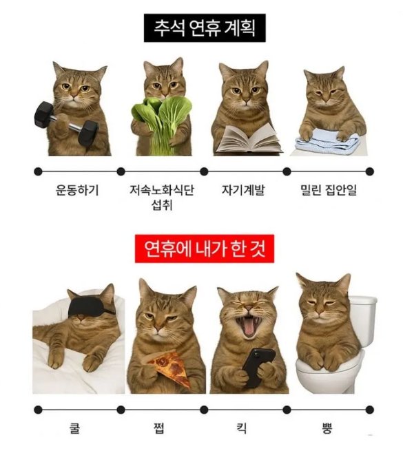추석연휴-계획과-현실-1-이미지