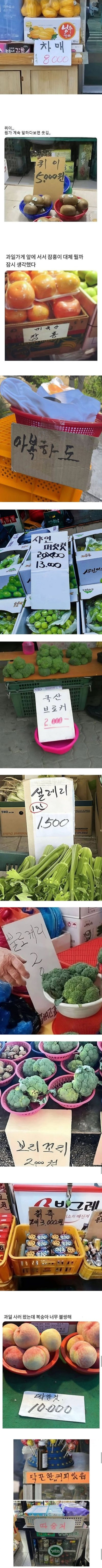 서울에는-없고-시골시장에만-파는것들-0-이미지