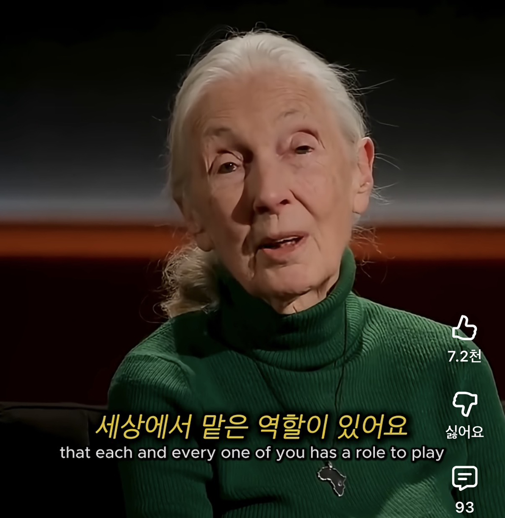 당신의-삶은-여전히-소중하다-2-이미지