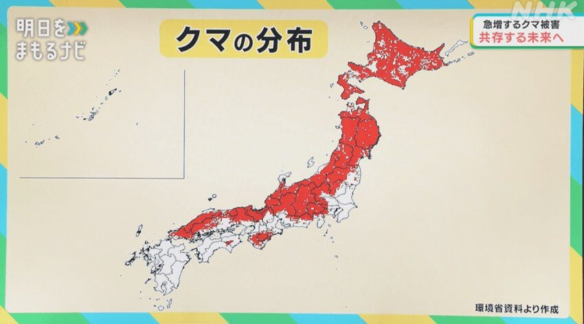 세계적인-곰-보유-국가가-된-일본-1-이미지