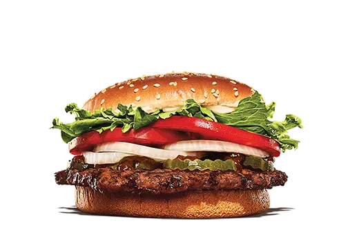 어제-처음으로-강아지에게-햄버거를-사줬다-5-이미지