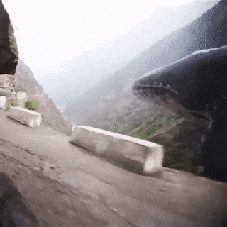 직접보면-비현실적인-동물-1위.gif-3-이미지