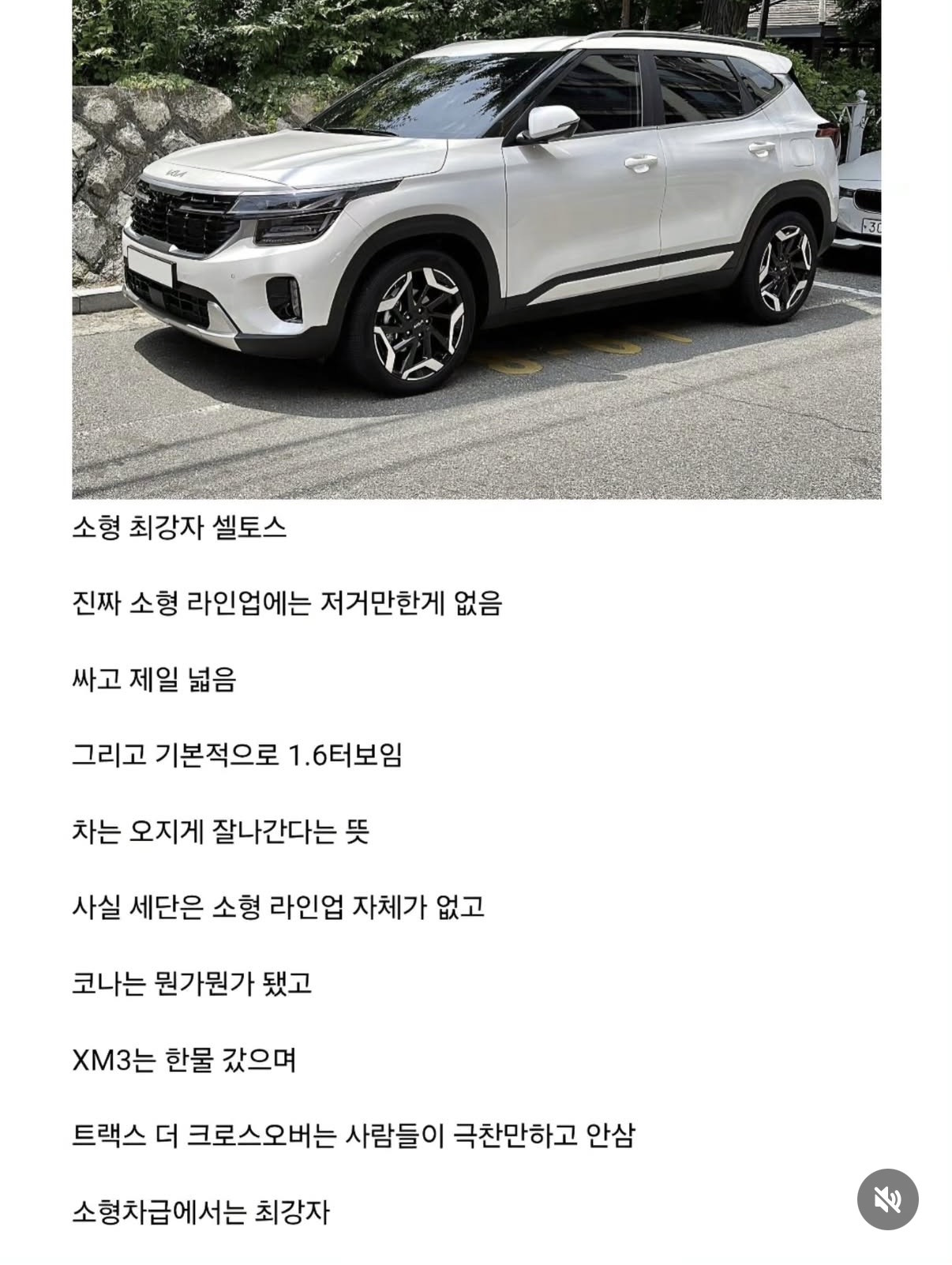 2025년-현재-자동차-체급별-최강자-2-이미지