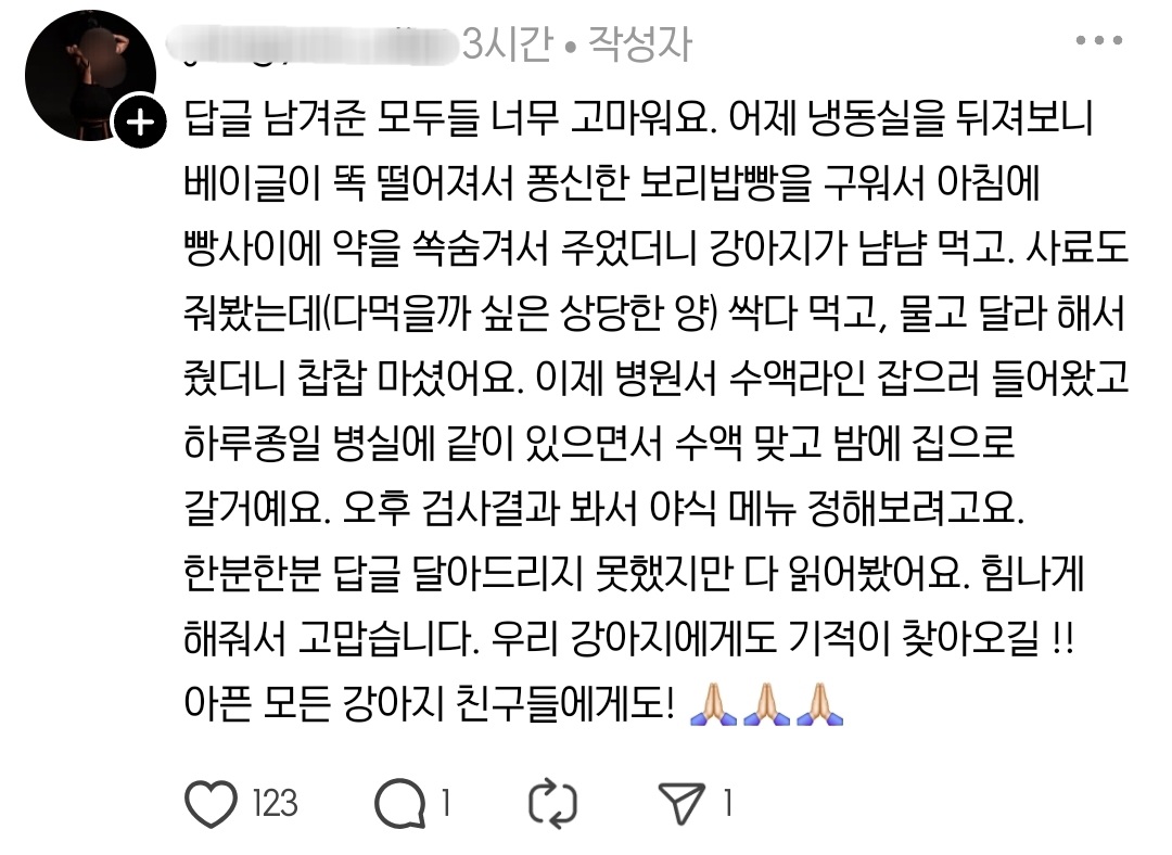 어제-처음으로-강아지에게-햄버거를-사줬다-4-이미지