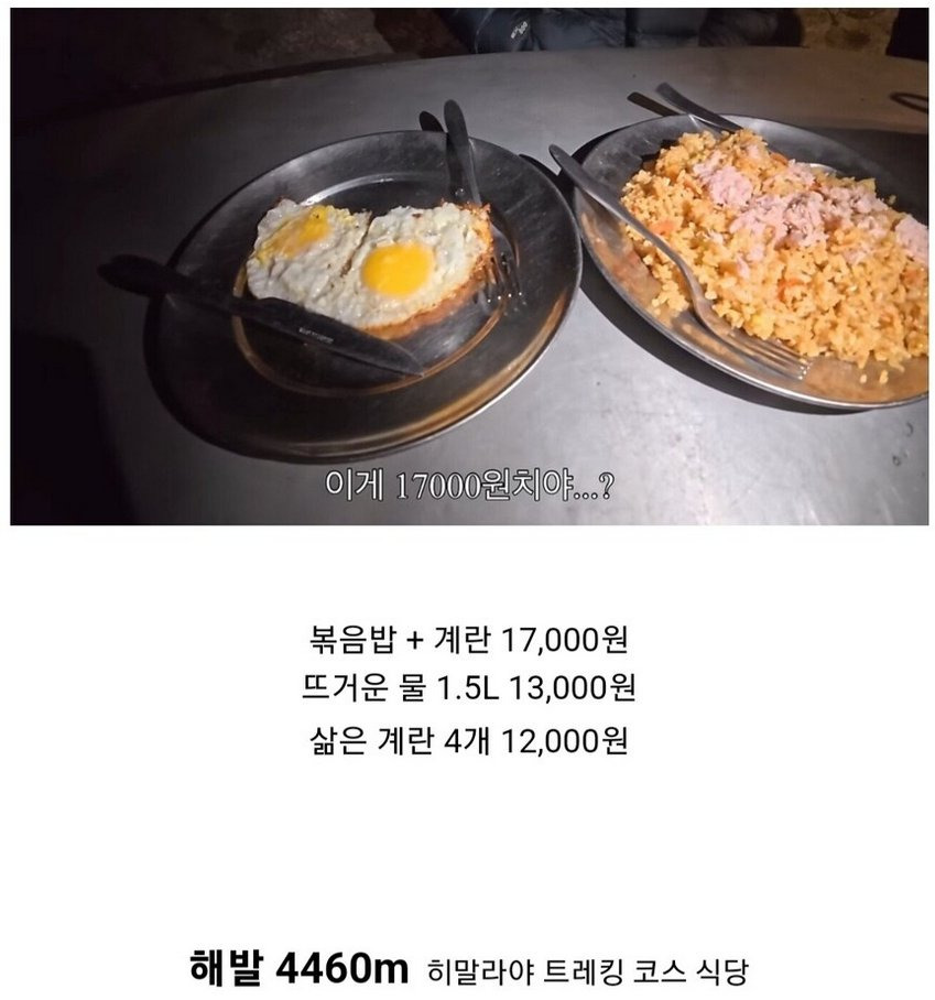 42000원-볶음밥-정식-논란-0-이미지