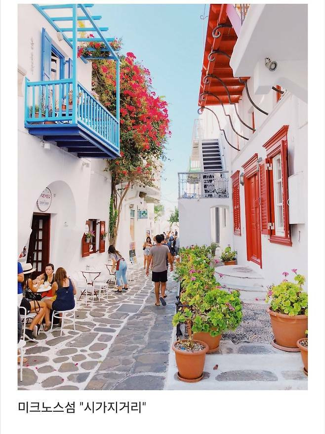 세계에서-제일-예쁜-길이라고-함-4-이미지