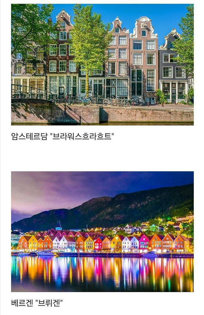 세계에서-제일-예쁜-길이라고-함-11-이미지