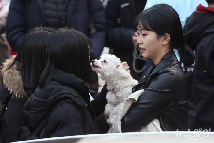 강아지-좋아하는-왕들은-매년-수능-아침을-기대함-11-이미지