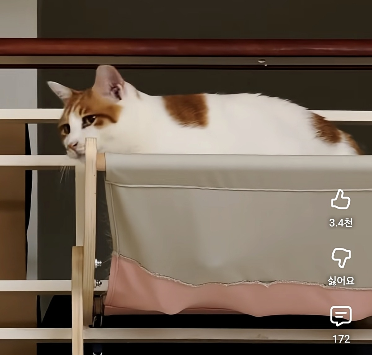 냥집사로서-복층-원룸-살면-따라해보고싶은-꽁꽁얼어붙은한강냥이네-집-7-이미지