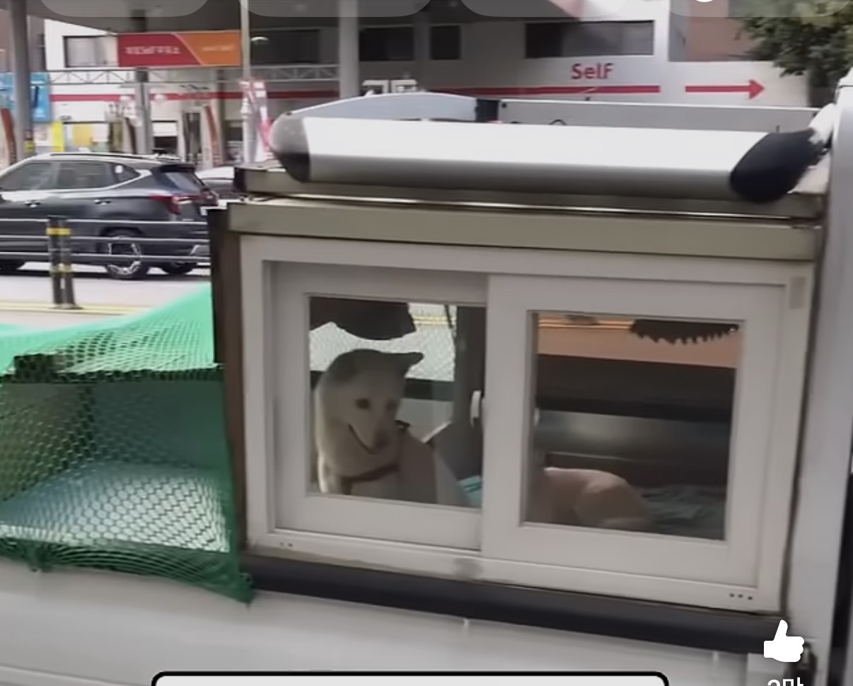 개모차계의-람보르기니-1-이미지