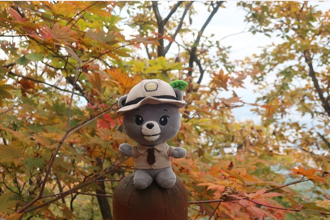 요즘-등산러들-사이-인기템이라는-인형키링.jpg-0-이미지