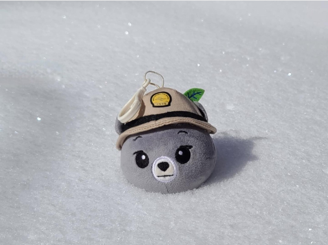 요즘-등산러들-사이-인기템이라는-인형키링.jpg-5-이미지