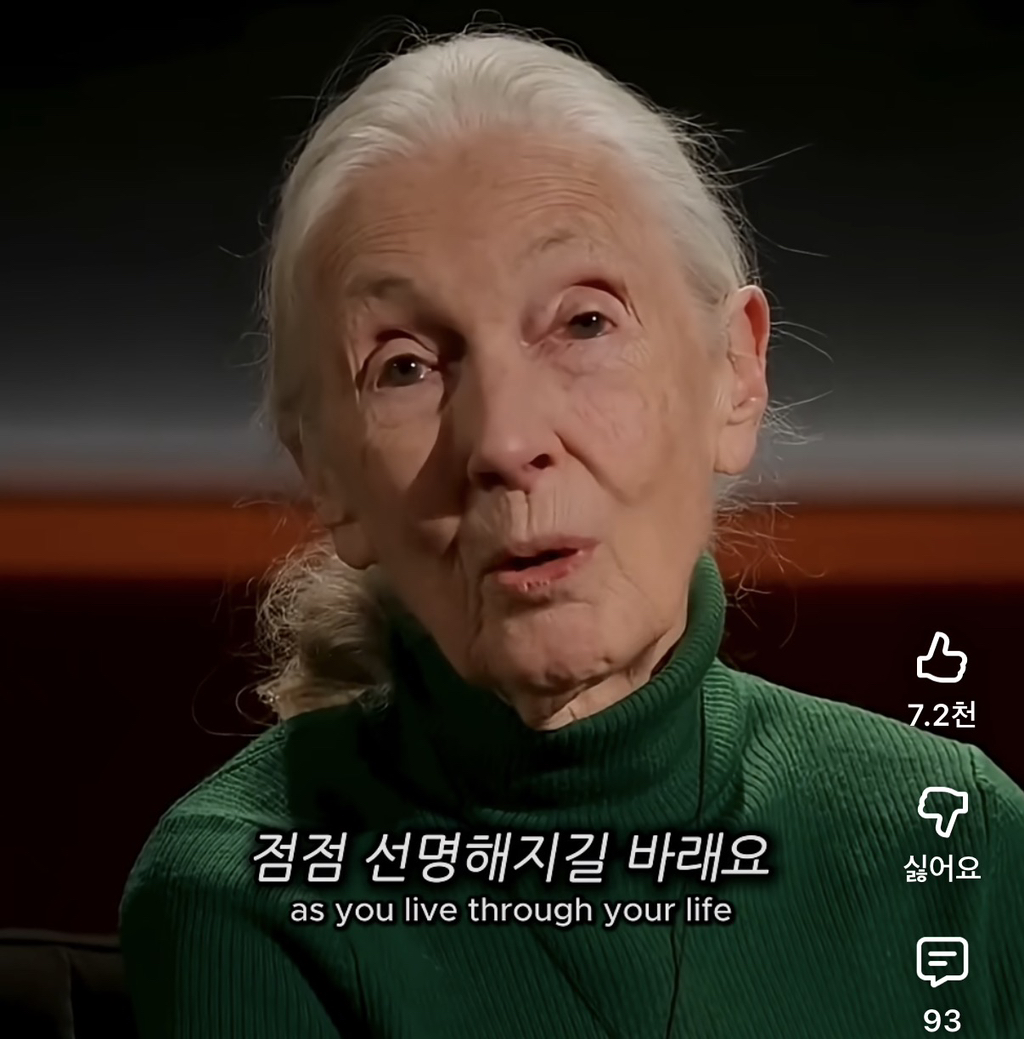 당신의-삶은-여전히-소중하다-10-이미지