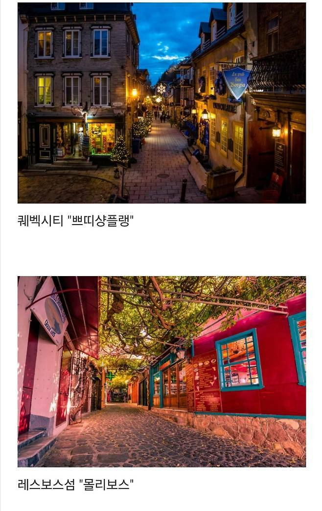 세계에서-제일-예쁜-길이라고-함-16-이미지