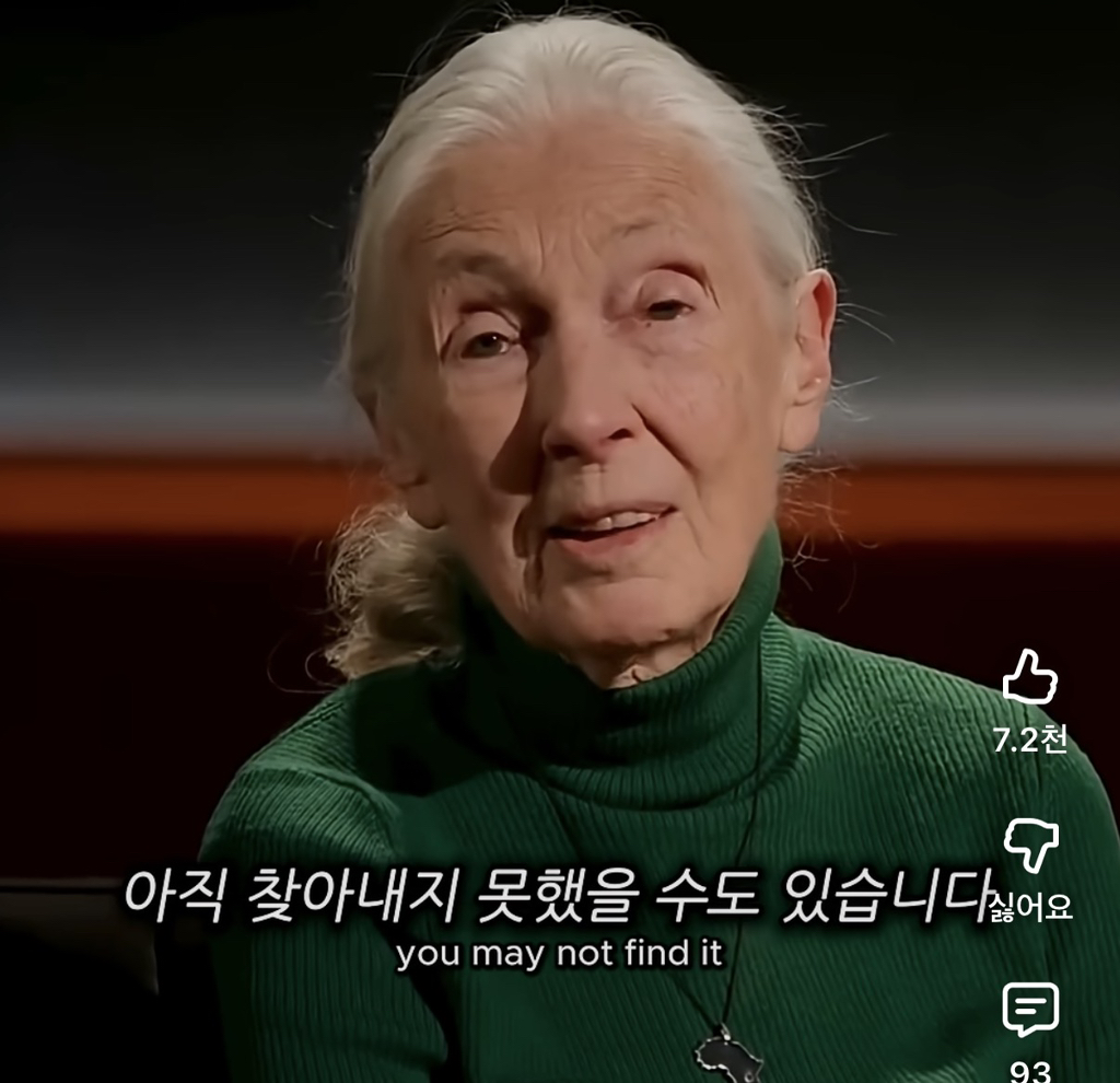 당신의-삶은-여전히-소중하다-3-이미지