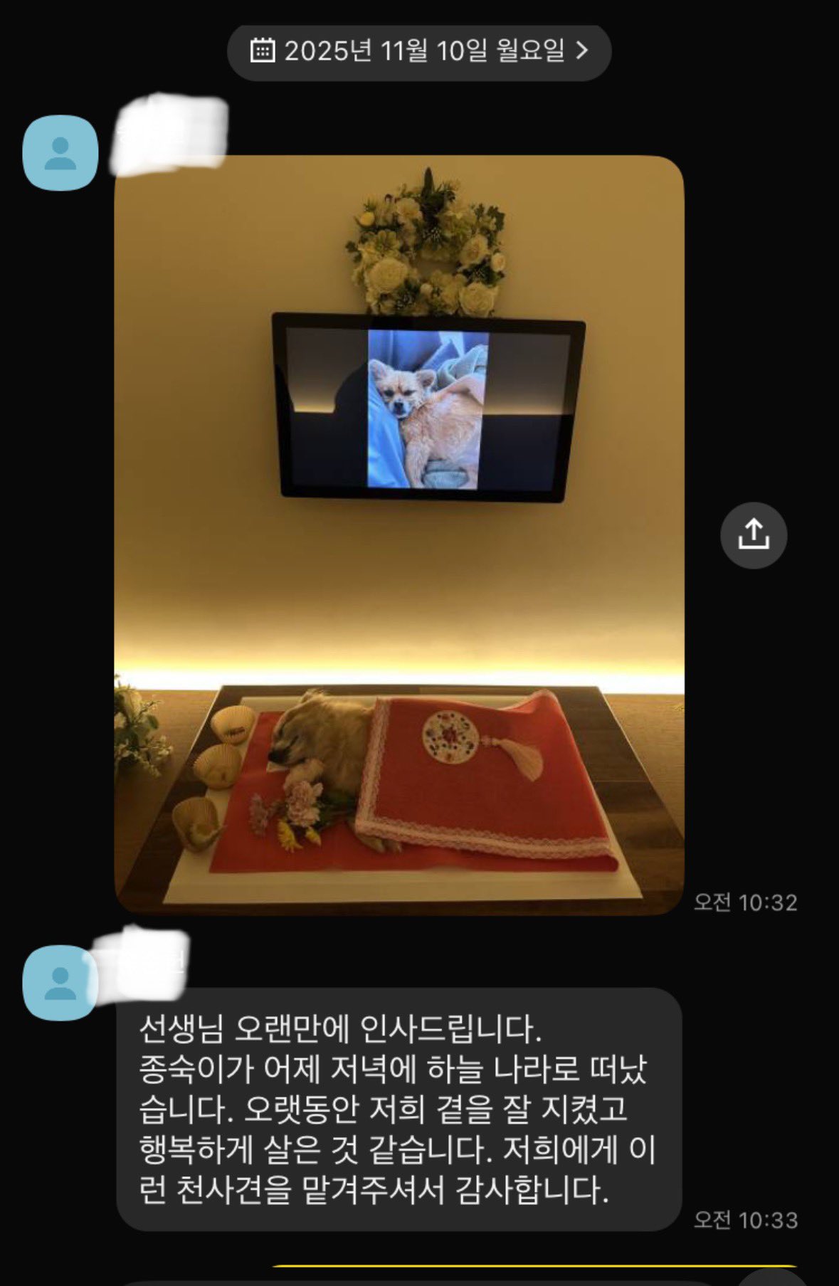 17년전-구조한-개를-입양보낸-과외학생에게-연락옴-0-이미지