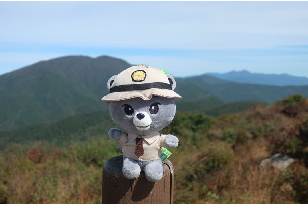 요즘-등산러들-사이-인기템이라는-인형키링.jpg-1-이미지