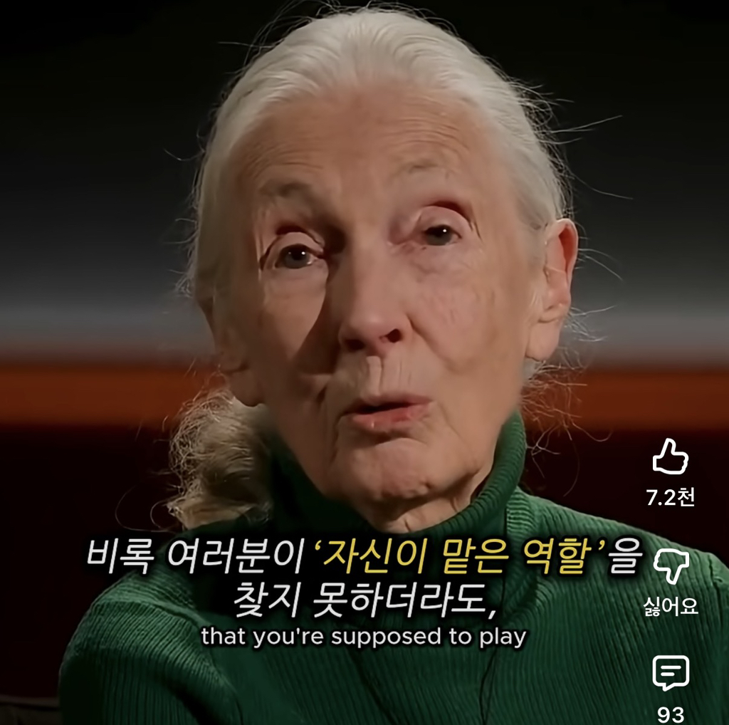 당신의-삶은-여전히-소중하다-12-이미지