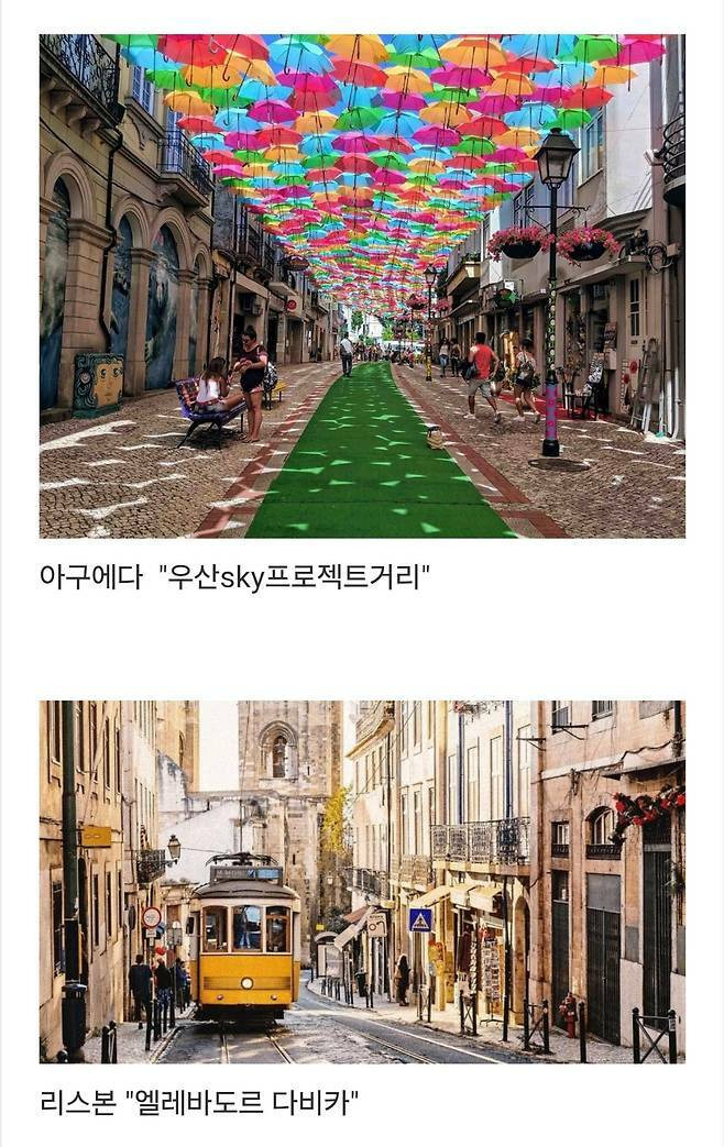 세계에서-제일-예쁜-길이라고-함-3-이미지