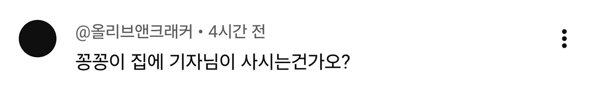 냥집사로서-복층-원룸-살면-따라해보고싶은-꽁꽁얼어붙은한강냥이네-집-9-이미지