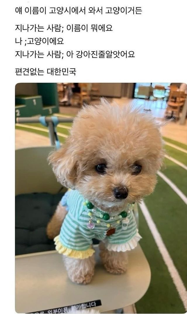 편견없는-대한민국-0-이미지