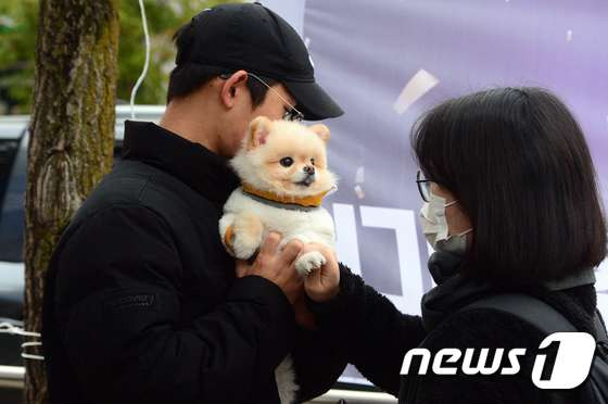 강아지-좋아하는-왕들은-매년-수능-아침을-기대함-2-이미지