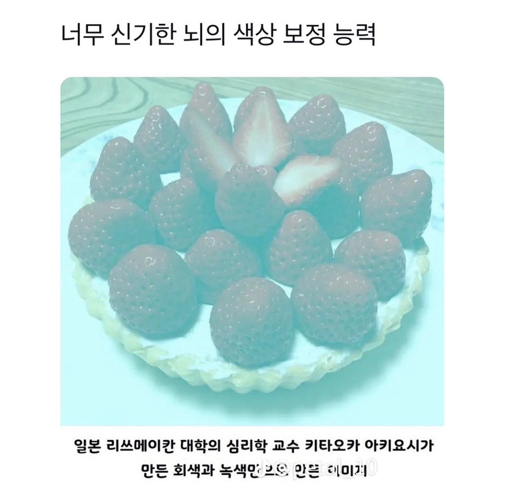 이-이미지에는-빨간색이-없습니다-0-이미지