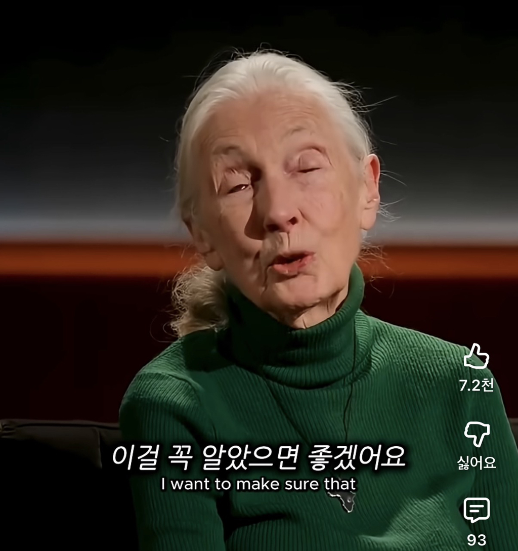 당신의-삶은-여전히-소중하다-0-이미지