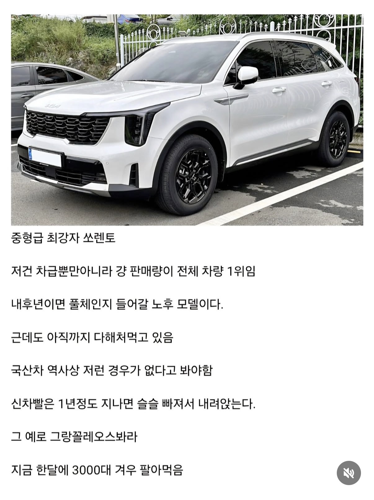 2025년-현재-자동차-체급별-최강자-4-이미지