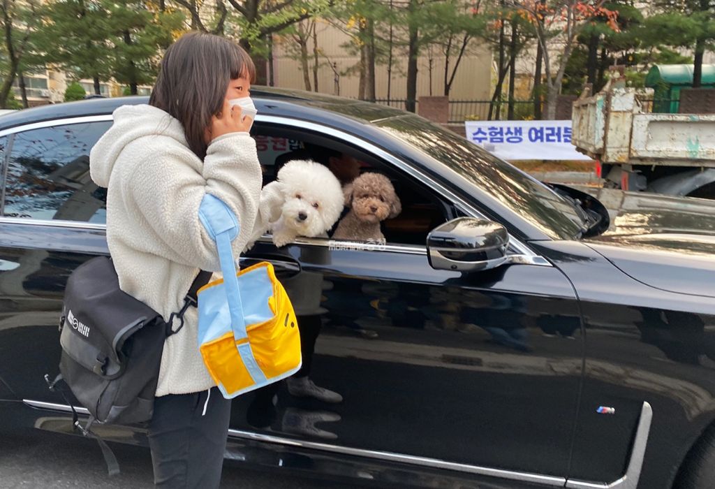 강아지-좋아하는-왕들은-매년-수능-아침을-기대함-4-이미지