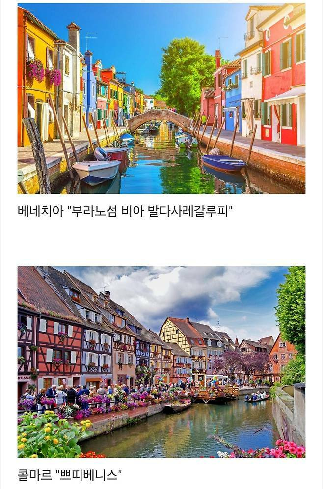 세계에서-제일-예쁜-길이라고-함-8-이미지