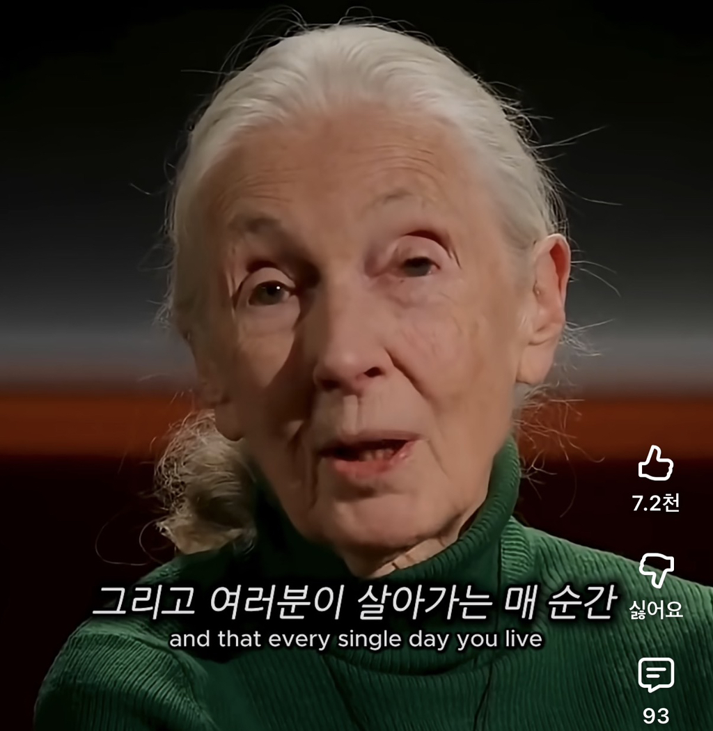 당신의-삶은-여전히-소중하다-14-이미지